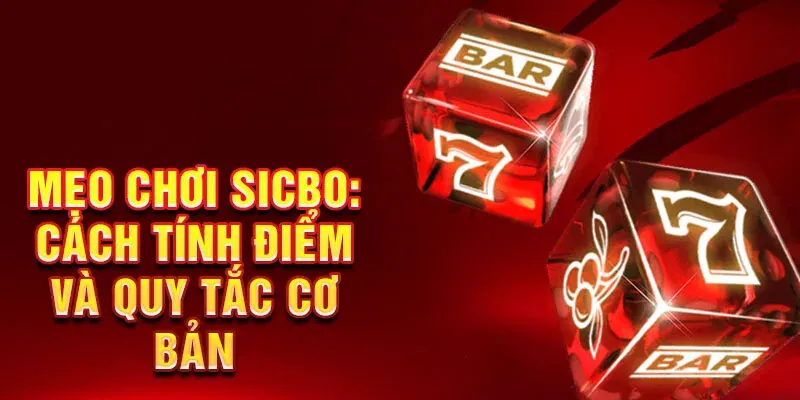 luat choi sicbo 888b huong dan chi tiet tu a z cho nguoi moi 67dc87f2076b6