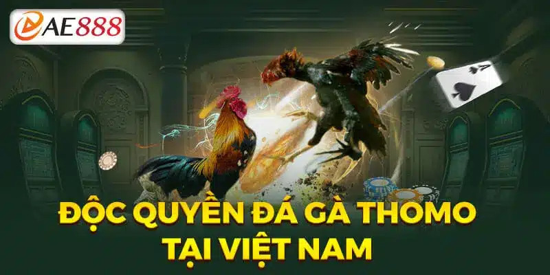 Đá gà AE888 đa dạng linh hoạt hơn so với chơi đá gà thực tế