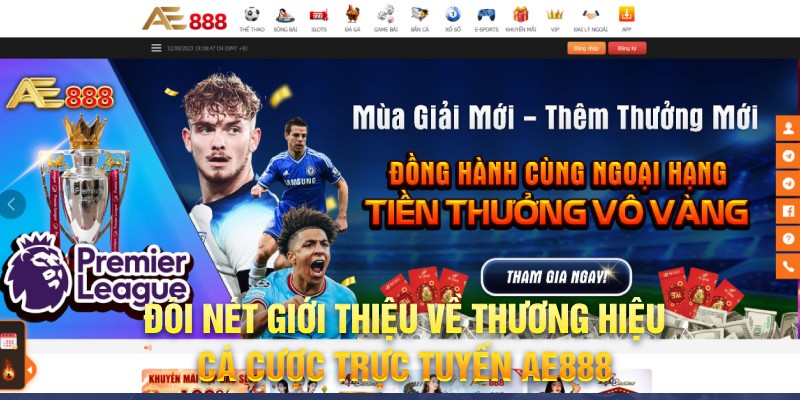 Nhà cái cá cược trực tuyến