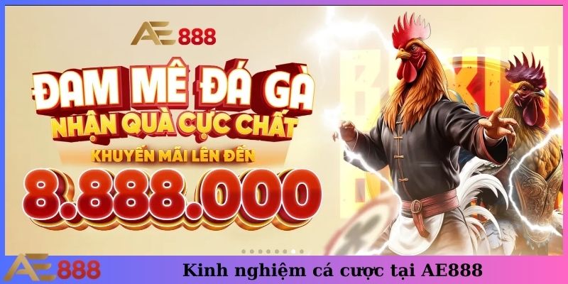 Kinh nghiệm cá cược tại AE888