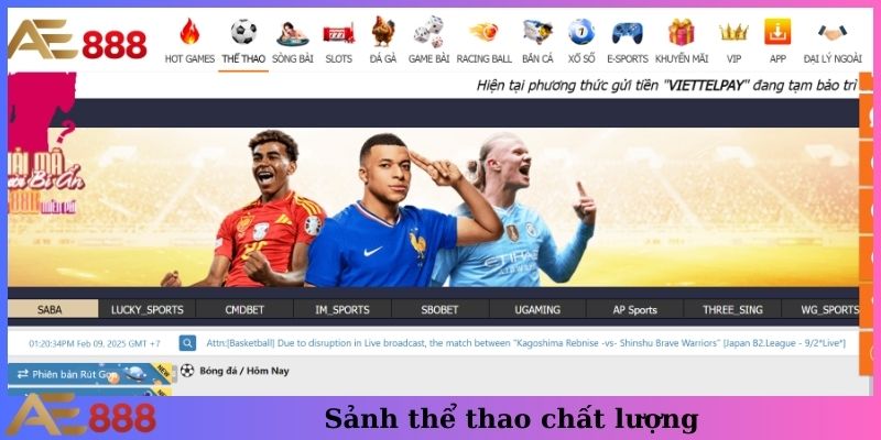 Sảnh thể thao chất lượng