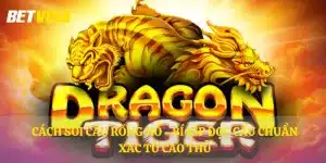 Cách soi cầu Rồng Hổ - Bí kíp đọc cầu chuẩn xác từ cao thủ