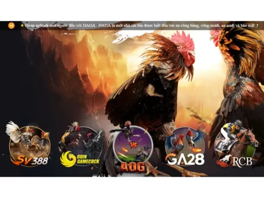 Đá gà trực tuyến DAGA6 là một trong những danh mục game chủ chốt