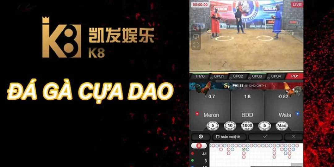 Đá Gà K8 - k8.yoga Đá Gà K8 sân chơi cá cược trực tuyến công bằng