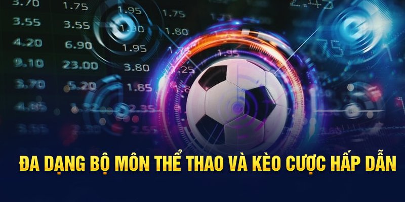 da-dang-bo-mon-the-thao-va-keo-cuoc-hap-dan
