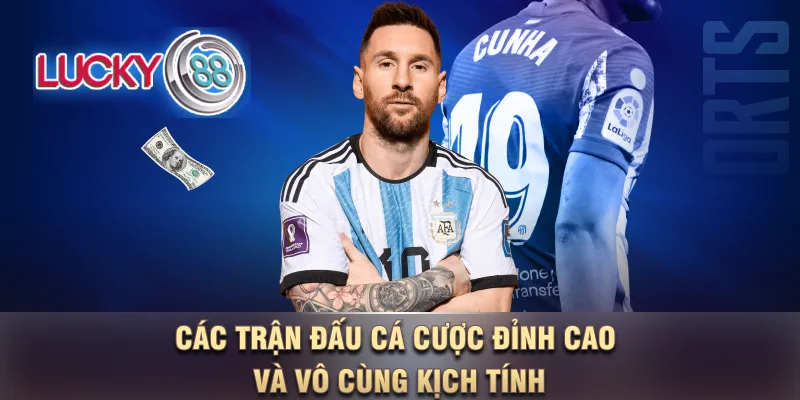 Các trận đấu cá cược đỉnh cao và vô cùng kịch tính Các trận đấu cá cược đỉnh cao và vô cùng kịch tính