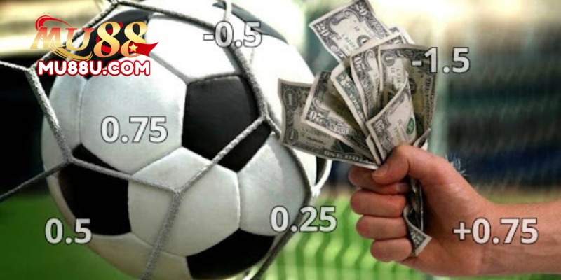 Kèo Chấp 0.5