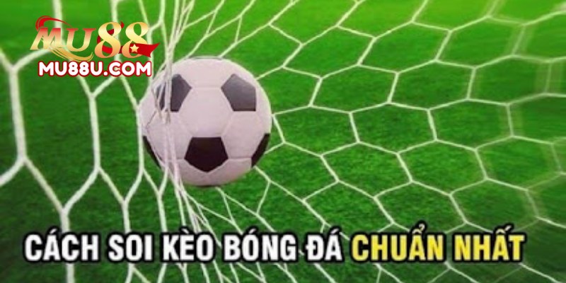 Kèo Chấp 1 Trái