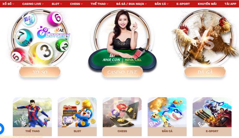 Những hạng mục giải trí trực tuyến thú vị Những hạng mục giải trí trực tuyến thú vị