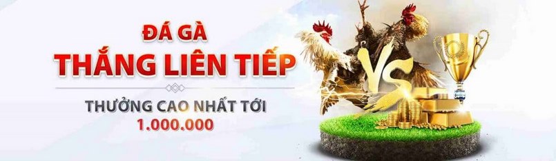 Các hoạt động cá cược uy tín tại nhà cái Các hoạt động cá cược uy tín tại nhà cái