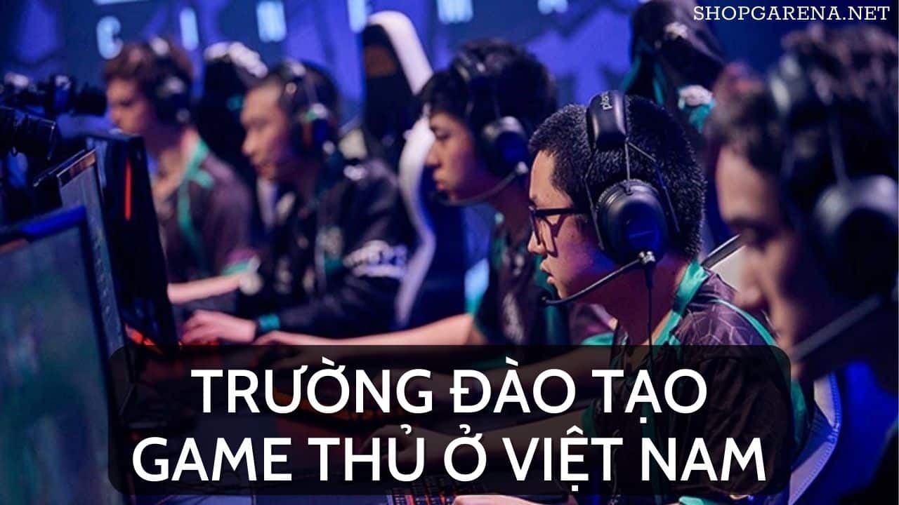 Truong Dao Tao Game Thu O Viet Nam