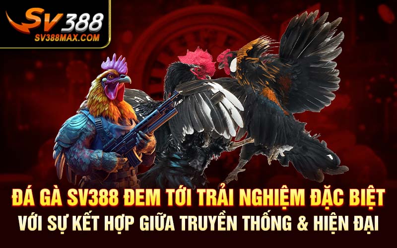 Đá gà SV388 đem tới trải nghiệm đặc biệt với sự kết hợp giữa truyền thống & hiện đại