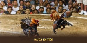 Đá gà ăn tiền