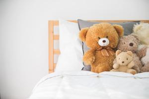 Shop bán gấu bông vừa xinh, vừa ôm đã tại TP. Hồ Chí Minh