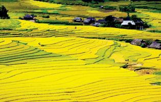 Địa điểm du lịch bạn nên đến Điện Biên Phủ