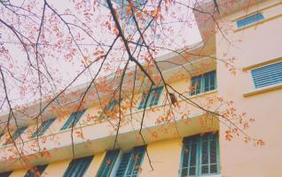 Trường tiểu học tư thục tốt nhất quận Nam Từ Liêm, Hà Nội