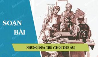 Bài soạn 