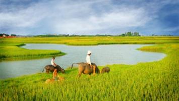 Bài hát hay nhất viết về Thái Bình rung động lòng người