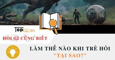 Câu hỏi thường gặp ở trẻ mà cha mẹ khó trả lời và cách trả lời khoa học nhất