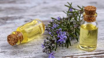 Địa chỉ mua tinh dầu xông phòng cho spa uy tín nhất Hà Nội