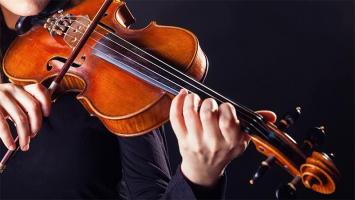 Địa chỉ bán đàn violin uy tín nhất tại Hà Nội