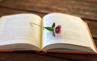 Bài thơ tình hay nhất mọi thời đại