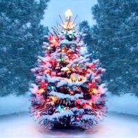Truyền thống đón Giáng sinh (Noel) độc đáo trên thế giới