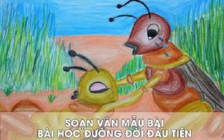 Bài soạn 