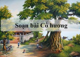 Bài soạn 