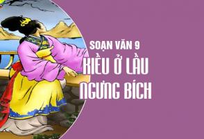Bài soạn 