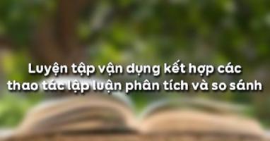 Bài soạn Luyện tập vận dụng kết hợp các thao tác lập luận phân tích và so sánh (Ngữ Văn 11) hay nhất