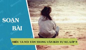 Bài soạn 