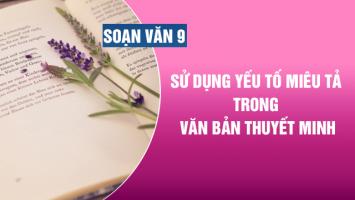 Bài soạn 