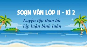 Soạn bài Luyện tập thao tác lập luận bình luận (Ngữ Văn 11) hay nhất