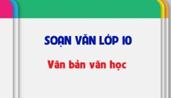 Bài soạn Văn bản văn học (Ngữ Văn 10) hay nhất