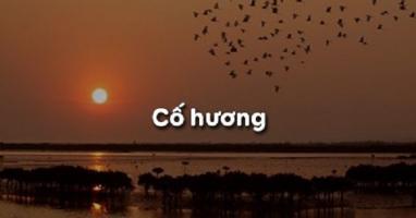 Bài tóm tắt tác phẩm Cố hương của Lỗ Tấn hay nhất