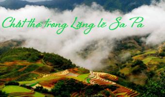 Bài văn cảm nhận chất thơ trong truyện ngắn 