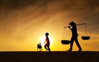 Bài văn phân tích Tấm lòng người mẹ (Ngữ văn 11) hay nhất