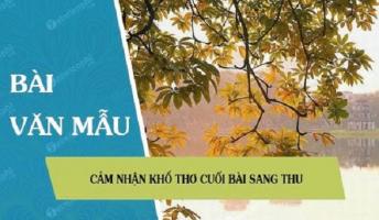 Bài văn cảm nhận về khổ thơ cuối bài 