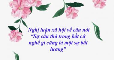 Bài văn nghị luận về câu nói 