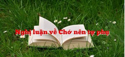 Bài văn nghị luận về chủ đề 