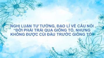 Bài văn nghị luận xã hội về câu nói 