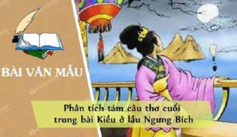 Bài văn phân tích 8 câu thơ cuối trong đoạn trích 