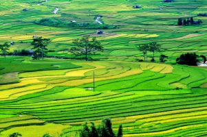 Bài văn phân tích khổ cuối bài thơ Đất Nước của Nguyễn Khoa Điềm hay nhất