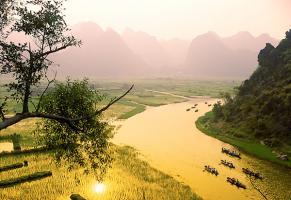 Bài văn phân tích tác phẩm 