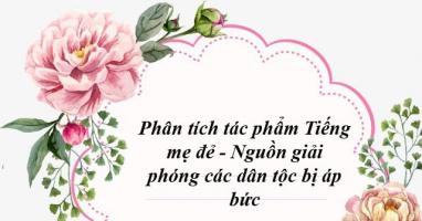 Bài văn phân tích 