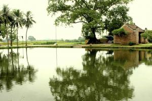 Bài phân tích tình thu và cảnh thu trong tác phẩm 