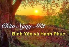 Bài văn tả một ngày mới bắt đầu ở quê em hay nhất
