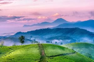 Bài văn cảm nhận khổ thơ thứ 7 trong tác phẩm 