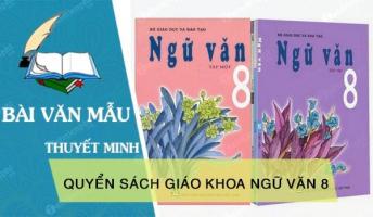 Bài văn thuyết minh về quyển sách giáo khoa Ngữ văn lớp 8 hay nhất